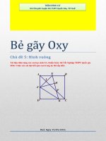 BẺ GÃY OXY-CHỦ ĐỀ 5: HÌNH VUÔNG
