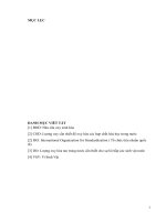 Tiểu luận Khuấy trộn cơ khí