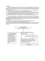 Tổng hợp các kỹ thuật và phương pháp để giải hình oxy 