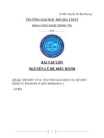 SỰ THAY ĐỔI GIAO DIỆN CỦA HỆ ĐIỀU HÀNH TỪ WINDOWS 95 ĐẾN WINDOWS 8.1