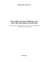 PHÁT TRIỂN CHƯƠNG TRÌNH ĐÀO TẠO GIÁO VIÊN PHỔ THÔNG NGÀNH TOÁN
