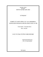 Luận văn Thạc sĩ Nghiên cứu nhân giống cây gấc (momordica cochinchinensis) bằng phương pháp nuôi cấy mô
