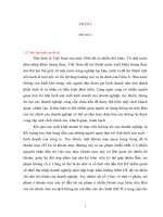 KIỂM TOÁN DT TRONG KIỂM TOÁN BÁO CÁO TÀI CHÍNH TẠI CÔNG TY TƯ VẤN KẾ TOÁN VÀ KIỂM TOÁN VIỆT NAM