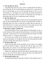 XÂY DỰNG MÔ HÌNH NGHIÊN CỨU ĐỘ ÊM THUẬN ĐOẠN ĐƯỜNG DẪN VÀO CẦU
