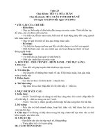 chủ đề tết và mùa xuân