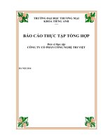 báo cáo thực tập tốt nghiệp tại CÔNG TY cổ PHẦN CÔNG NGHỆ TRI VIỆT