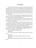 Báo cáo thực trạng của việc quản lý tài sản cố định ở công ty mây tre