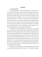 Chuyên đề Tình hình và giải pháp phòng chống tệ nạn xã hội ở các tỉnh miền Bắc và Hòa Bình hiện nay