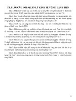 TRẢ lời câu hỏi QUẢN lý KINH tế VÙNG, LÃNH THỔ