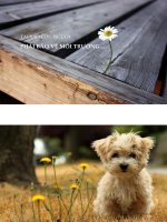 Tại sao con người phải bảo vệ môi trường