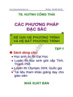 các phương pháp đặc sắc giải hệ phương trình và bất phương trình