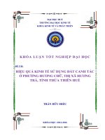 Trần hữu hiếu k46 a KTNN   hiệu quả kinh tế sử dụng đất canh tác ở phường hương chữ, thị xã hương trà, tỉnh thừa thiên huế