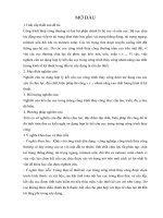 Nghiên cứu kết cấu cọc trong móng cồng trình thủy công như cầu tàu, triền, đà, ụ tàu, đê biển 