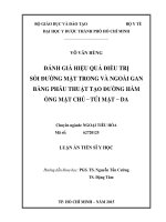 Đánh giá hiệu quả điều trị sỏi đường mật trong và ngoài gan bằng phẫu thuật tạo đường hầm ống mật chủ   túi mật   da