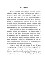 Hoàn thiện công tác kế toán tiêu thụ hàng hóa và xác định kết quả kinh doanh tại công ty TNHH thương mại và công nghệ hồng dương 