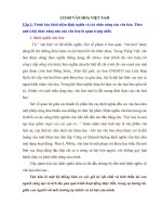 Câu hỏi ôn thi sở văn hóa VIỆT NAM