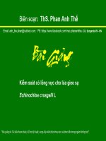 ThS. Phan Anh Thế: Bài giảng kiểm soát cỏ lồng vực cho lúa gieo sạ