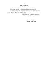 Một số biện pháp huy động vốn đầu tư cho phát triển kinh tế xã hội tại huyện đầm hà, tỉnh quảng ninh 