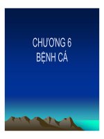 Bài giảng bệnh học thủy sản  chương 6   bệnh cá