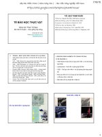 Khái quát về tế bào thực vật, các dạng tế bào, cấu trúc và chức năng của màng sinh chất