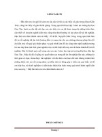 Thiết kế kiến trúc bảo tàng sinh vật biển