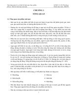 Tiểu luận Thiết kế nhà máy sản xuất mứt dâu