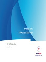 từ động hóa trong hệ thống điện tự hòa đồng bộ