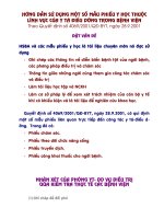 Hướng dẫn sử dụng một số mẫu phiếu y học thuộc lĩnh vực của Y tá điều dưỡng trong bệnh viện