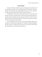 BÁO CÁO THỰC TẬP DỊCH TỄ HỌC - HIV