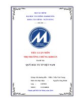 QUỸ ĐẦU TƯ CHỨNG KHOÁN Ở VIỆT NAM