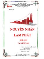 Tiểu luận nguyên nhân lạm phát 2010 2011 tại việt nam   tài liệu, ebook, giáo trình
