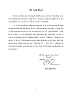 Nghiên cứu biến dị, khả năng di truyền về sinh trưởng và một số tính chất gỗ của Bạch đàn pelita tại Bàu Bàng (Bình Dương) và Pleiku (Gia Lai)