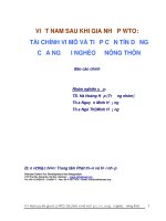 VIỆT NAM SAU KHI GIA NHẬP WTO:TÀI CHÍNH VI MÔ VÀ TIẾP CẬN TÍN DỤNGCỦA NGƯỜI NGHÈO Ở NÔNG THÔN