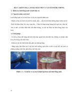 Bài giảng quy trình vận hành một trang trại nuôi cá biển quy mô công nghiệp (tài liệu tập huấn cho cán bộ quản lý trang trại)  phần 2   TS  lê xuân