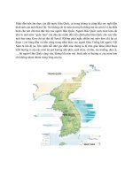 kim chi qua góc nhìn địa văn hóa