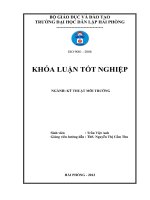 Khảo sát khả năng hấp phụ amoni của vật liệu đá ong biến tính