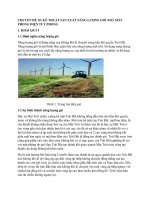 SO SÁNH QUY TRÌNH TRỒNG RAU sử DỤNG hữu cơ và RAU sử DỤNG hóa học 