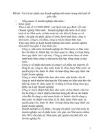 Vai trò sứ mệnh của doanh nghiệp nhà nước trong nền kinh tế quốc dân