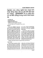 Nghiên cứu công nghệ bùn hoạt tính hoạt động theo mẻ có giá thể kết hợp lọc màng   SBMBMBR xử lý chất hữu cơ và nitơ (tổng) trong nước thải thuộc da