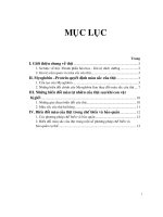 Tiểu luận Những biến đổi màu của thị trong chế biến và bảo quản