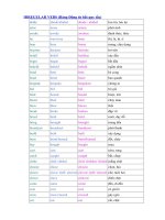 Bảng động từ bất quy tắc trong tiếng anh