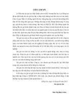 Một số giải pháp hoàn thiện hoạt động marketing tại Công ty trách nhiệm hữu hạn một thành viên Thế Linh đến năm 2020