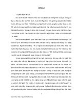 đề tài  nguyen thi phuong (1)