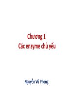 Bài giảng công nghệ di truyền   chương 1 các enzyme chủ yếu