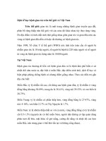 Dịch tễ học bệnh giun tóc trên thế giới và việt nam