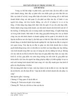 Lập dự án đầu tư kinh doanh cần cẩu phục vụ cảng 