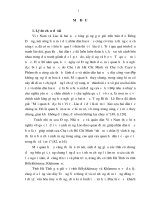 (Luận án tiến sĩ) đảng bộ tỉnh hà tĩnh lãnh đạo phát triển quan hệ hữu nghị hợp tác với tỉnh bôlykhămxay và khămmuộn (nước CHDCND lào) từ năm 1991 đến năm 2010