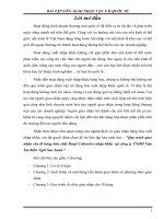 Quy trình giao nhận cho lô hàng hóa chất butyl cellosolve nhập khẩu  tại công ty TNHH vận tải biển ngôi sao xanh ” 