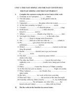 simple past vs simple continuous. simple past vs past perfect