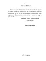 MỘT số BIỆN PHÁP NÂNG CAO HIỆU QUẢ QUẢN TRỊ rủi RO tín DỤNG tại NGÂN HÀNG TMCP PHÁT TRIỂN THÀNH PHỐ hồ CHÍ MINH CHI NHÁNH hải PHÒNG 